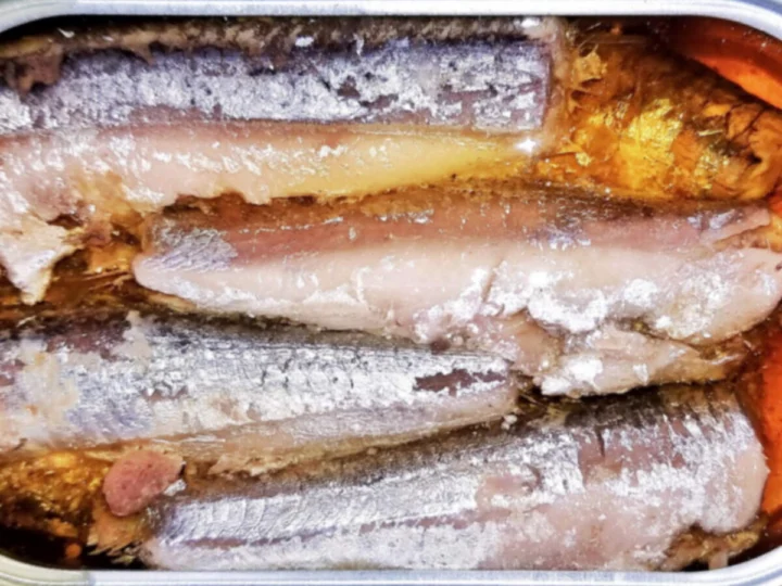 Anchovy fillets in oil in an open tin