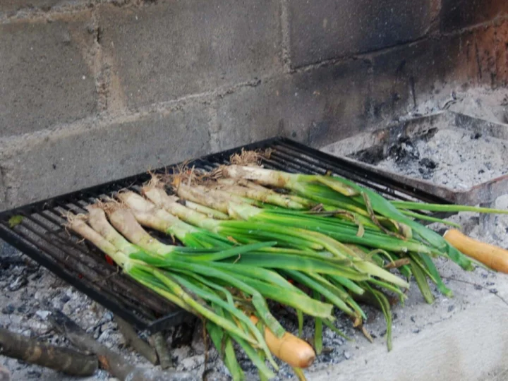 Spring onions charring on a grill beside an open fire