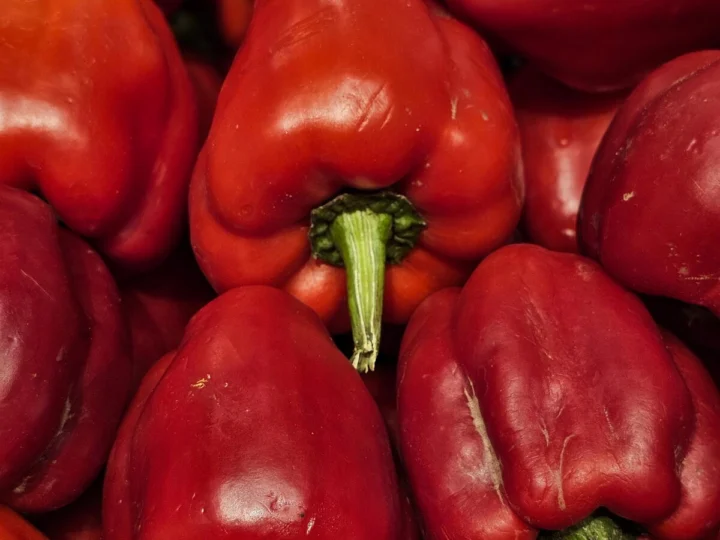 A pile of red peppers